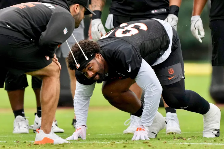 Bengals need strong D-line play vs. Texas